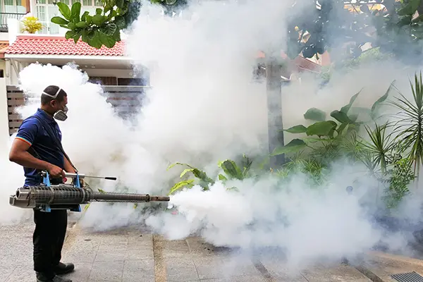 fogging-treatment-02
