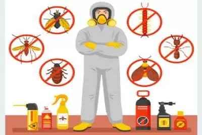 general-pest-control-service